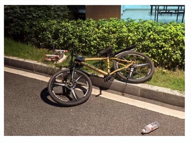 男子因家庭矛盾高空抛自行车被行拘