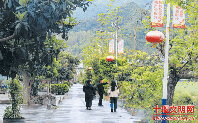 骄傲！2万盏太阳能路灯背后的故事